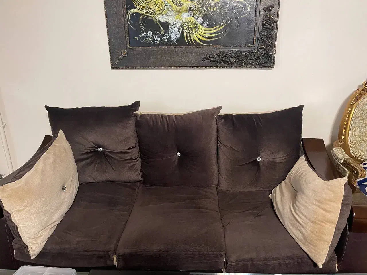 راحتی|مبلمان خانگی و میز عسلی|رشت, کاکتوس|دیوار