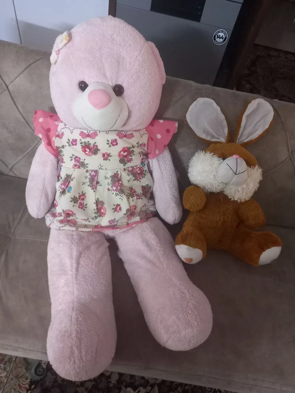 عروسک|اسباب‌بازی بچه|بجنورد, |دیوار