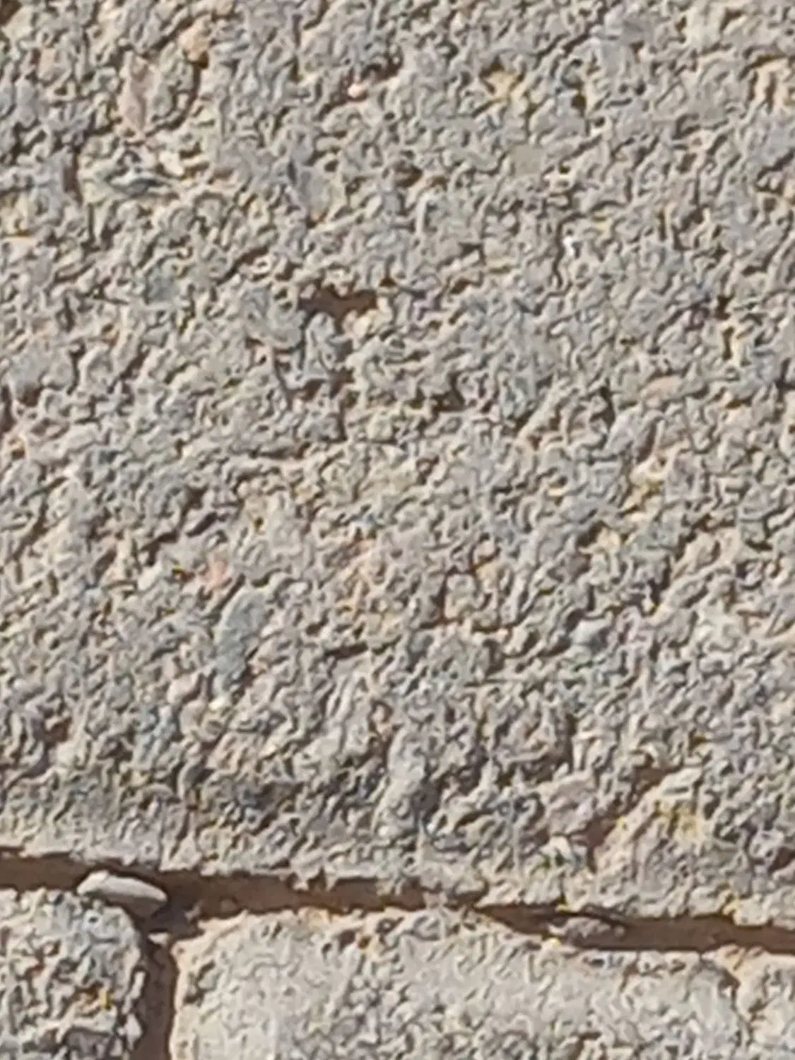 قفل اسید یا کتابی|مصالح و تجهیزات ساختمان|گلبهار, شهر جدید گلبهار|دیوار