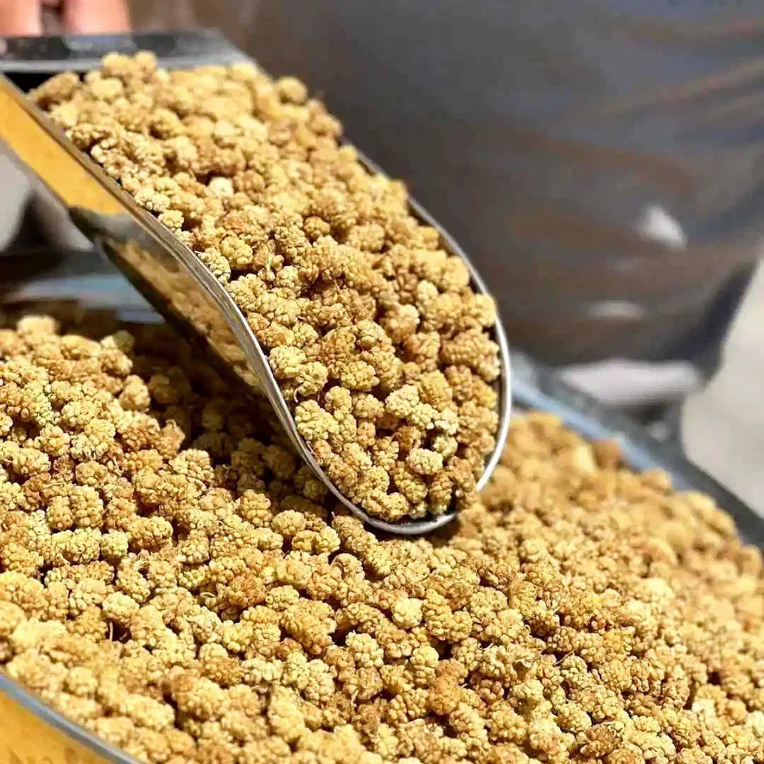 توت خشک امسالی / شیرین ۱۷۰/۰۰۰ سایه خشک|خوردنی و آشامیدنی|قم, ولیعصر|دیوار