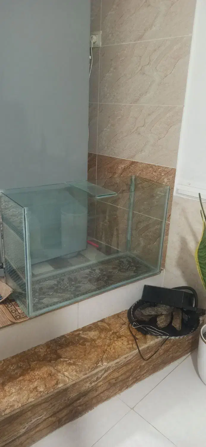 آکواریوم|ماهی|همدان, |دیوار