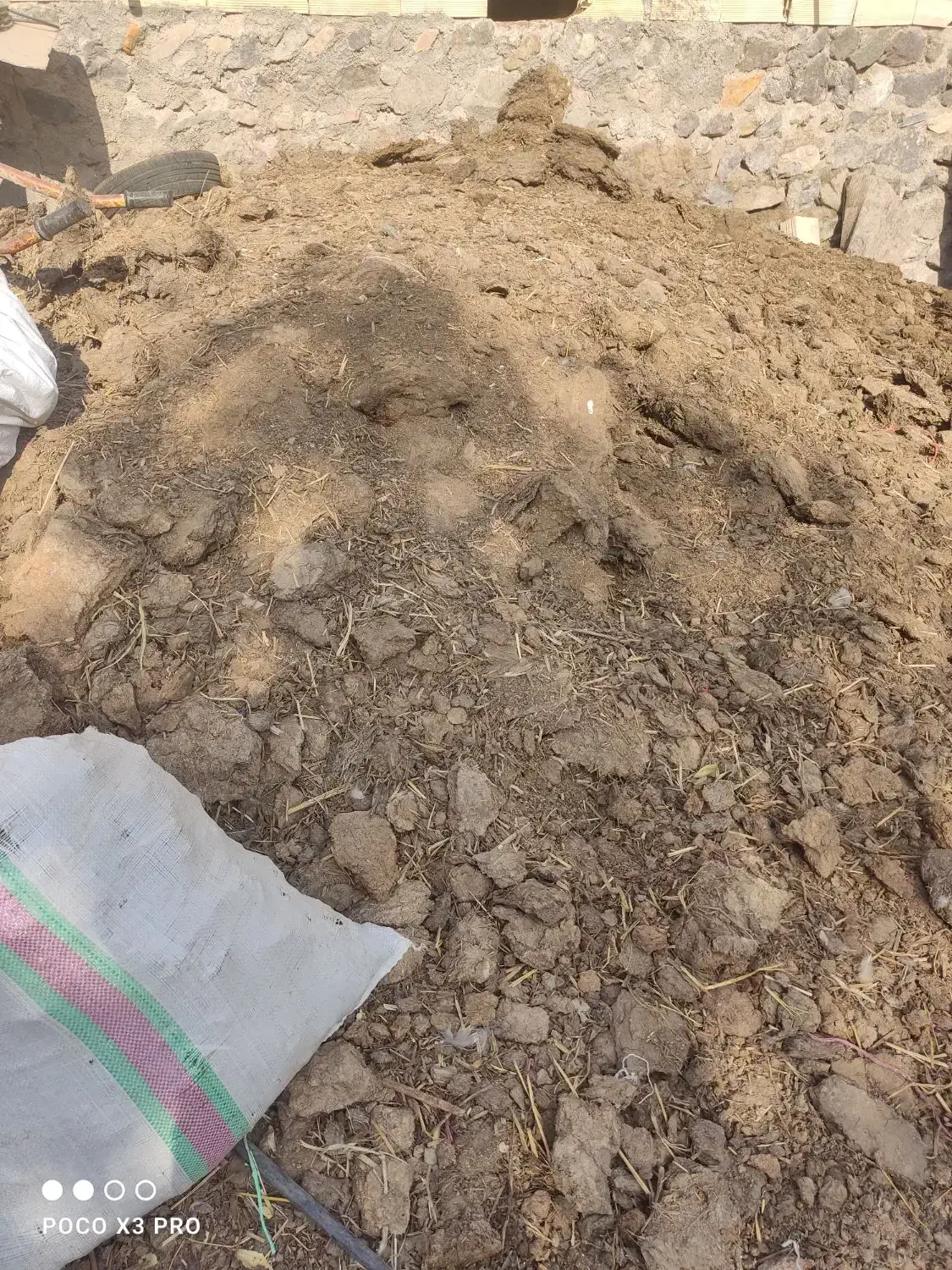 کود گاوی|عمده‌فروشی|طارم, |دیوار