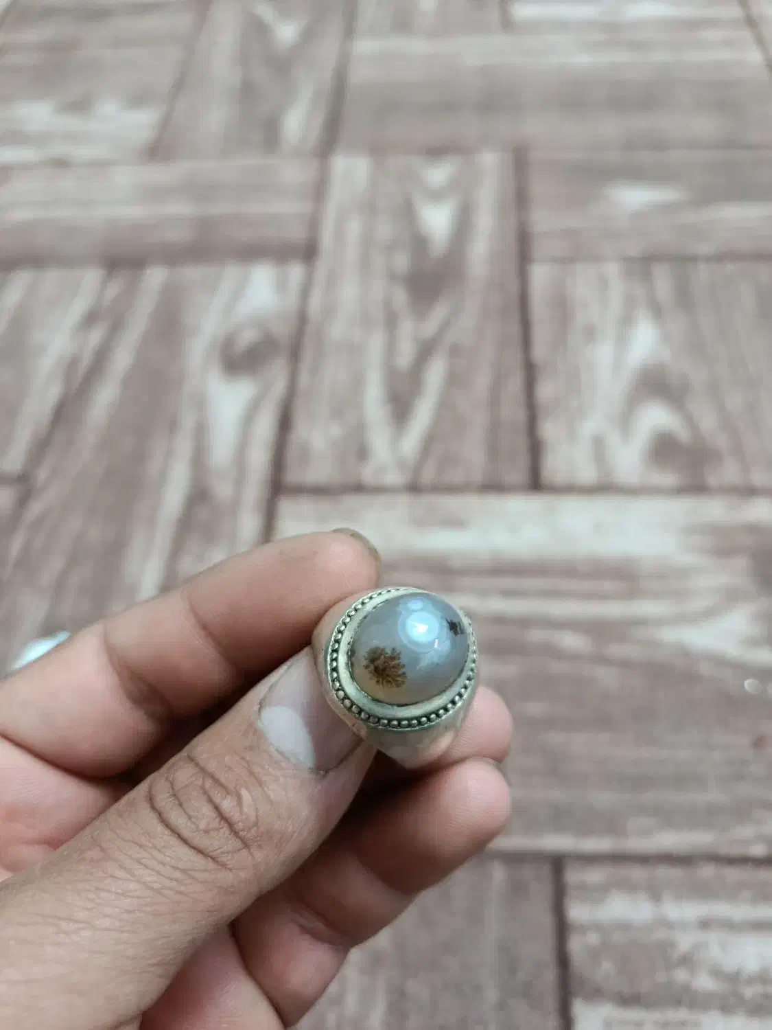 انگشتر شجر باباغوری معاوضه با پرنده|جواهرات|زارچ, |دیوار