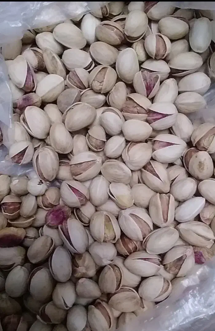 پسته فندوقی امسال اعلا|حراج|کرمان, |دیوار