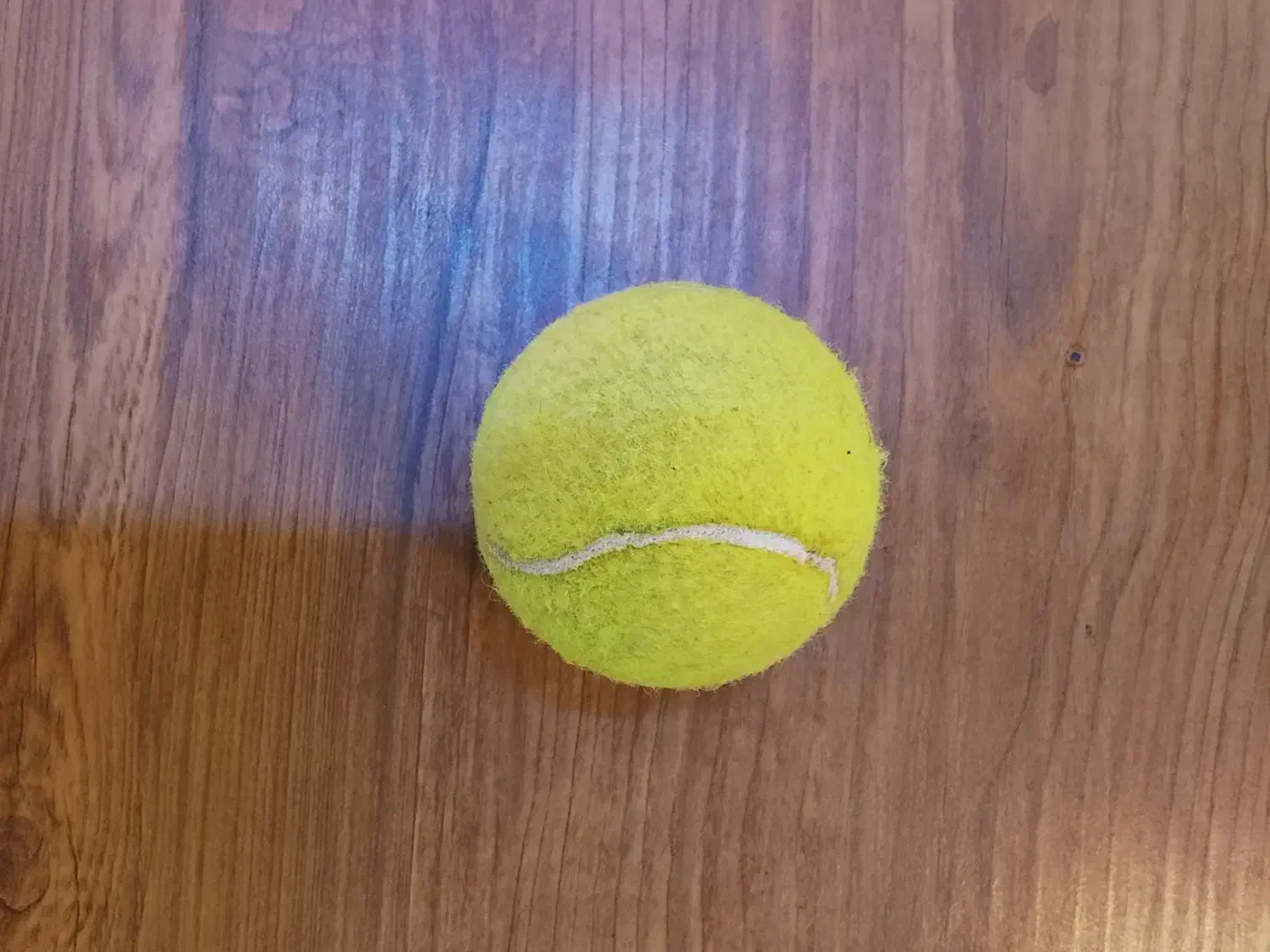 سلام یک توپ تنیس با قیمت مناسب|ورزش‌های توپی|ری, شهرری|دیوار