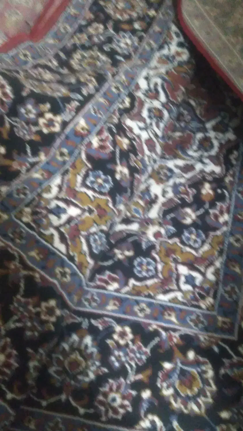 ۴ عدد فرش|فرش|قزوین, |دیوار