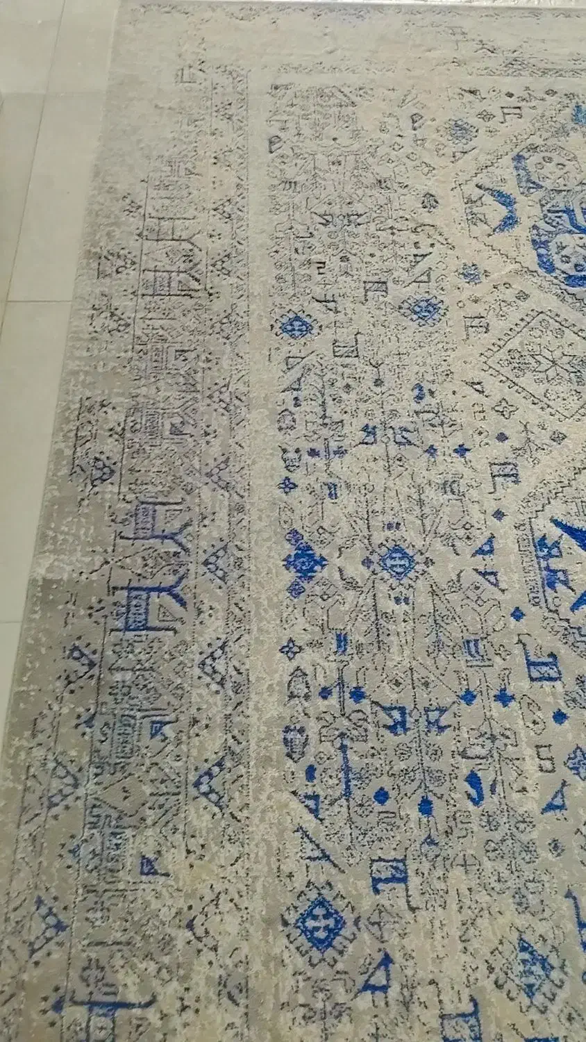 پالاز موکت/|موکت|فردیس, قریشی|دیوار