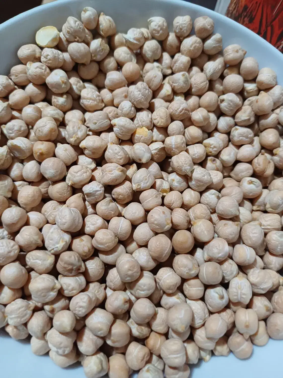 نخود کرمانشاهی|خوردنی و آشامیدنی|شیراز, غدیر جنوبی|دیوار