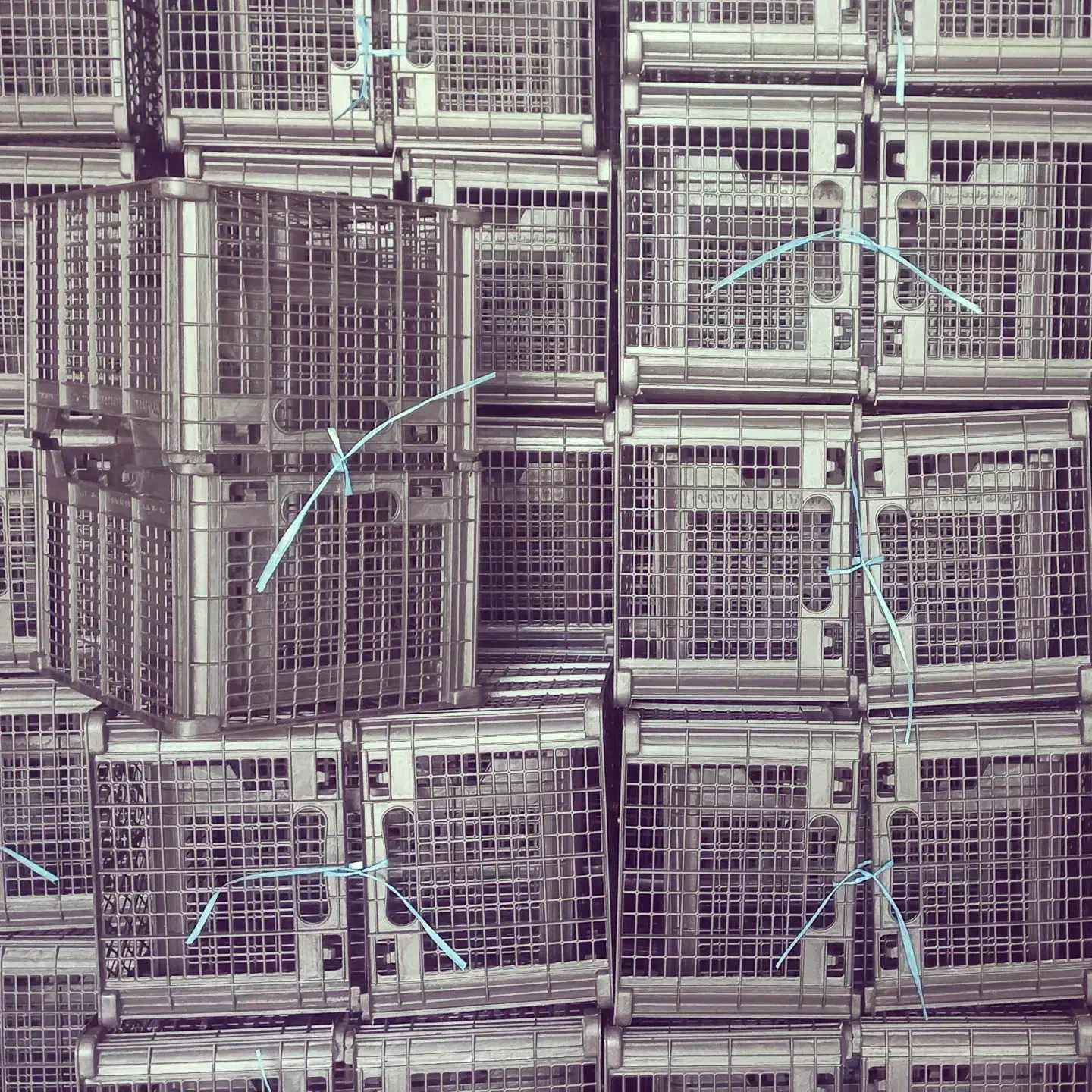 کارگر ساده نیازمندیم|استخدام صنعتی، فنی، مهندسی|کرمانشاه, |دیوار