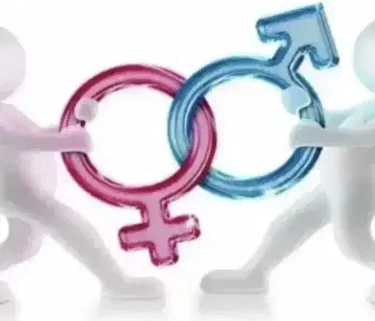 مشاوره|فعالیت داوطلبانه|چالوس, |دیوار