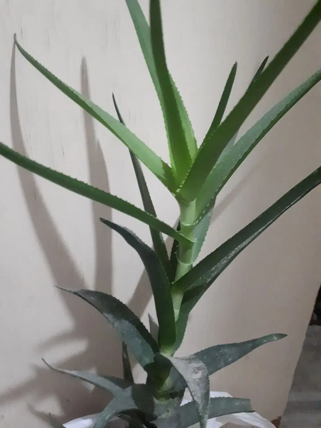 حراج|حراج|پردیس, فاز ۲|دیوار