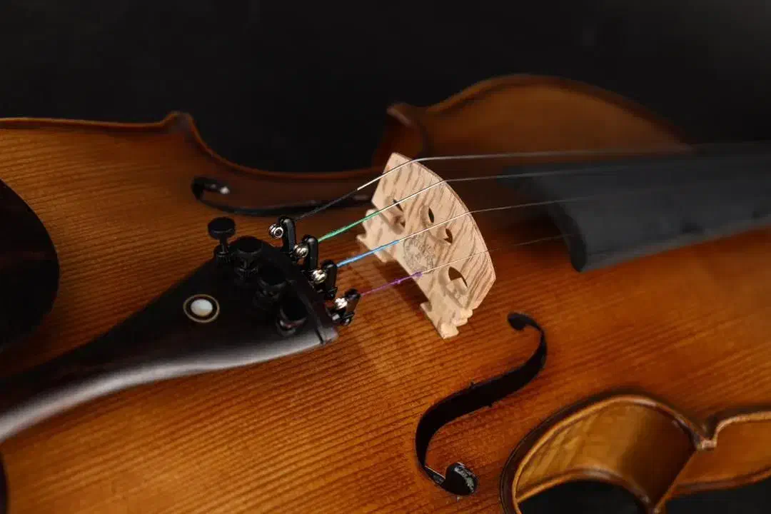 ویولن تضمینی /|ویولن|مشهد, ولیعصر (شهرک غرب)|دیوار