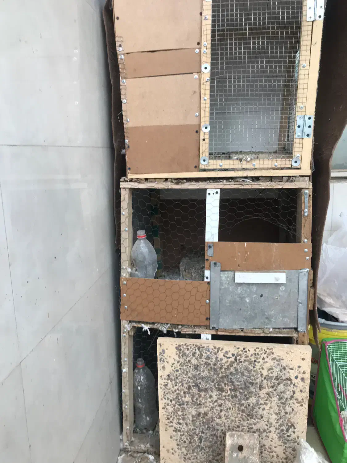 قفس پرنده|لوازم جانبی حیوانات|نیشابور, گنبد سبز|دیوار