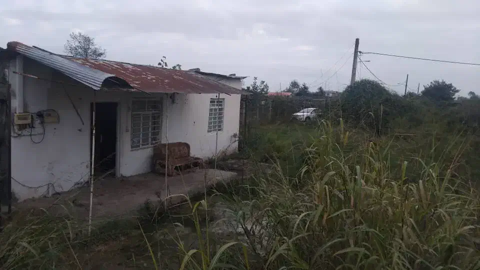 زمین کاربری مسکونی کشاورزی|فروش زمین و ملک کلنگی|تالش, طولارود|دیوار