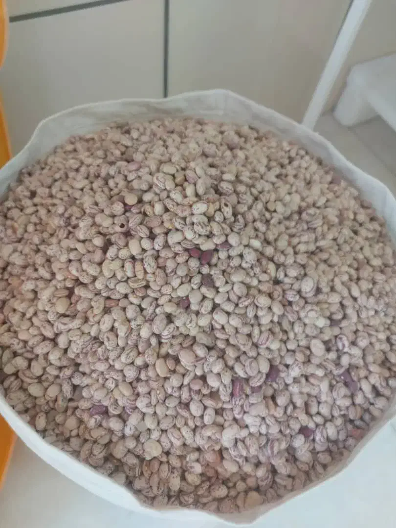 لولیا چیتی باغی|خوردنی و آشامیدنی|شاهینشهر, اقبال لاهوری|دیوار