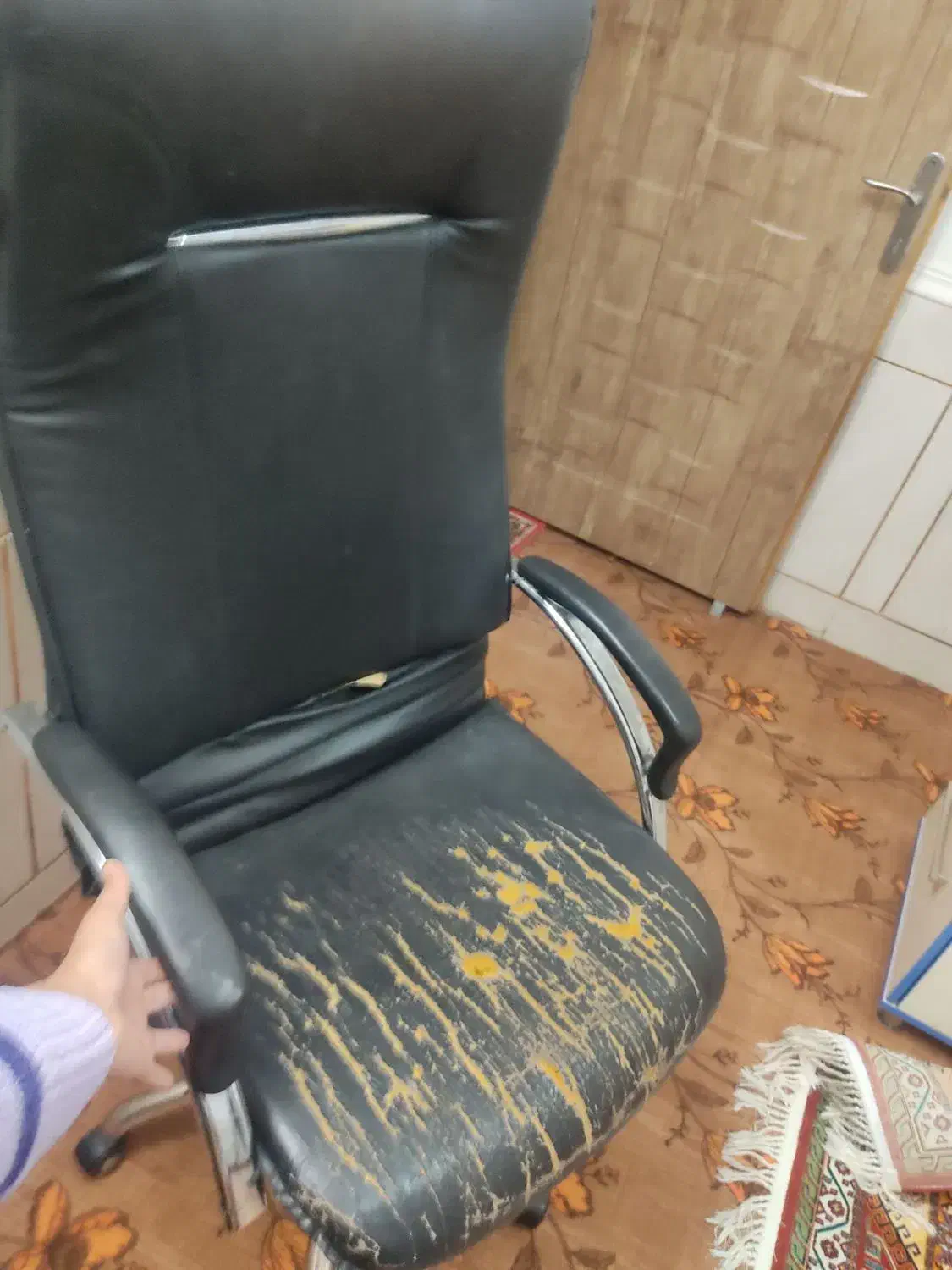 کمد|جاکفشی، کمد، دراور|شیراز, شهدای شهرک سعدی|دیوار