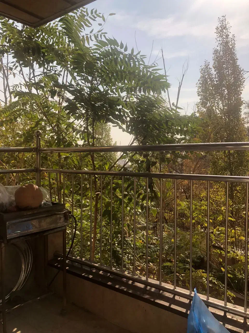 دربند ۲۲۵ متر / ۳ خواب / ویو باغ|اجارهٔ آپارتمان|تهران, گلاب دره|دیوار