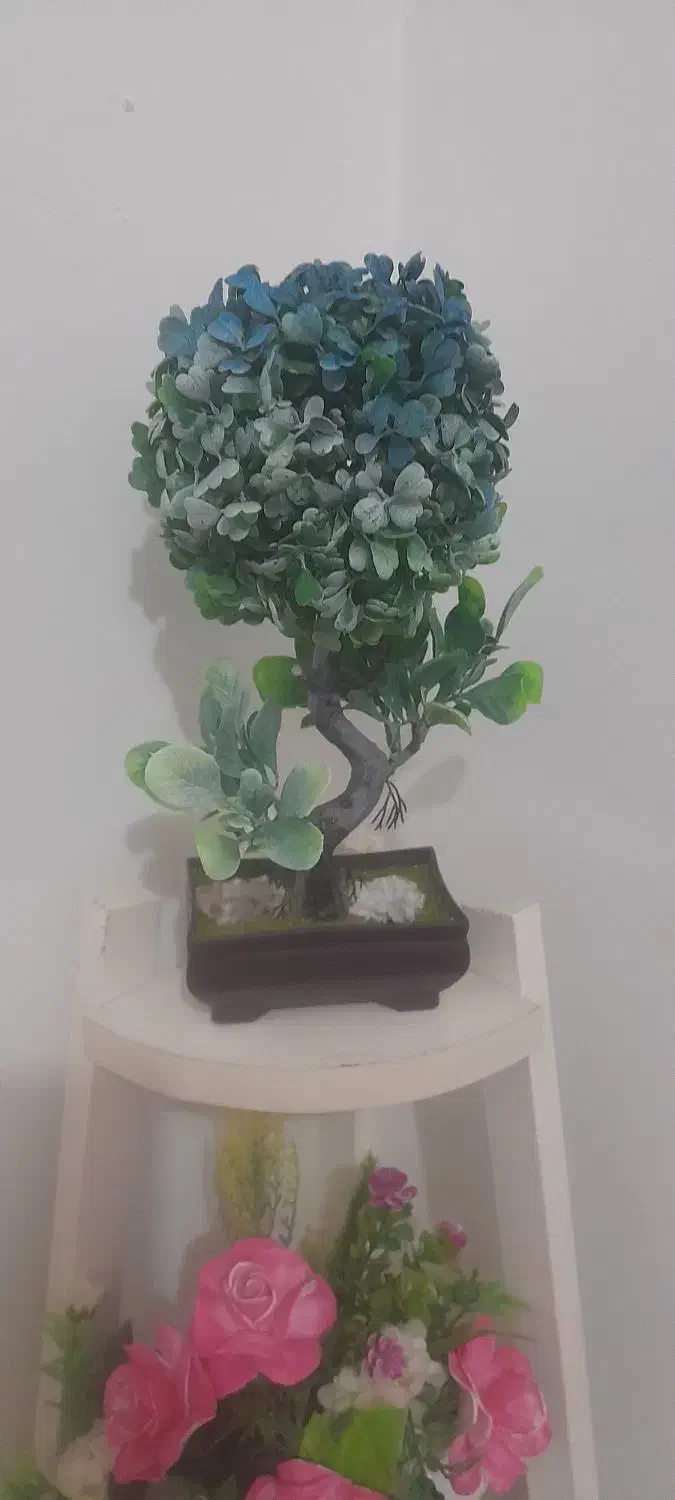 استند گل|گل مصنوعی|سنندج, |دیوار