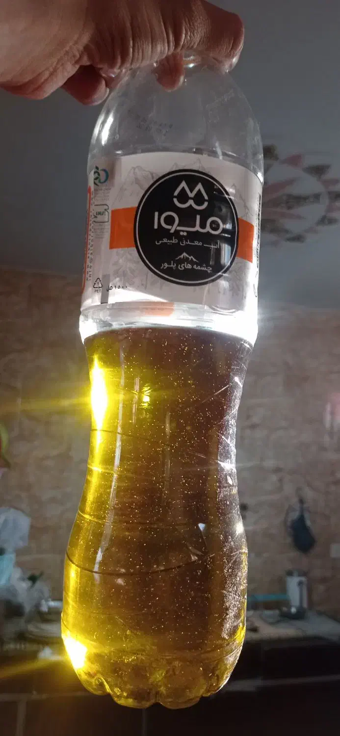 روغن زیتون ارگانیک،اصل واسه باغ خودمون|خوردنی و آشامیدنی|مرودشت, بیست متری بیمارستان|دیوار