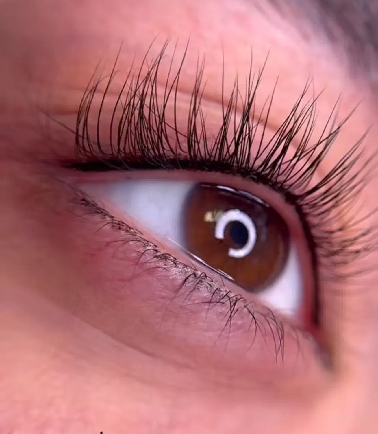 تخفیف بیش از ۵۰ درصدی شیدلب و ابرو تا شب یلدا|خدمات آرایشگری و زیبایی|تهران, مجیدیه|دیوار