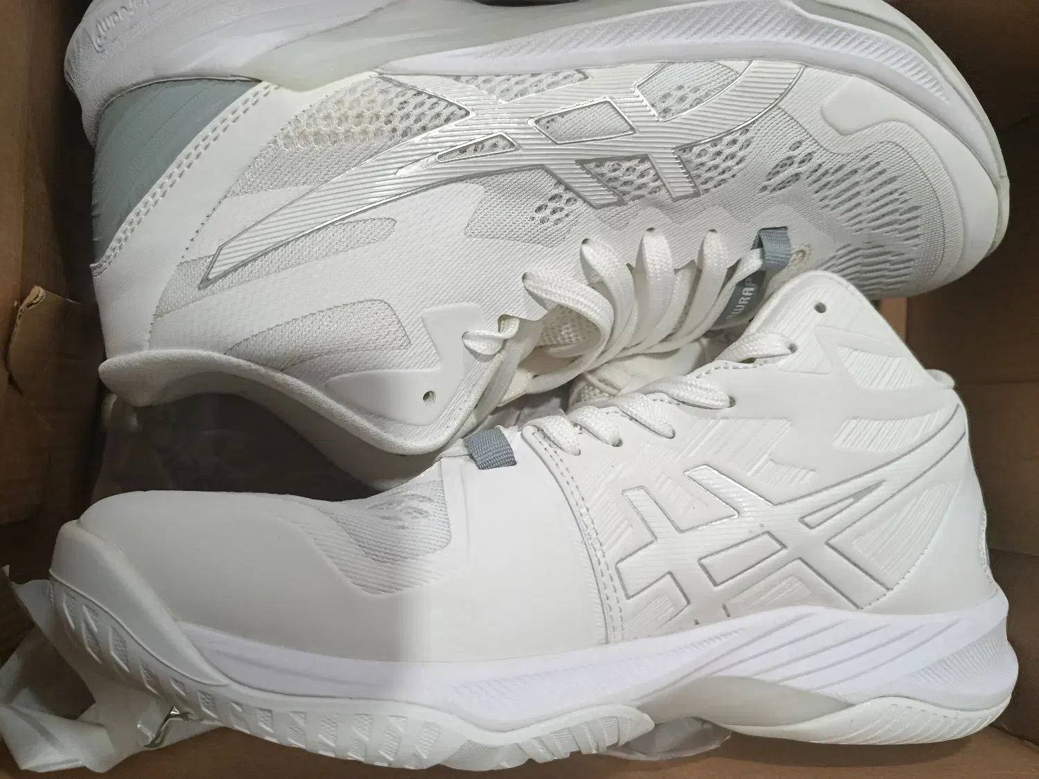کفش والیبال asics skyelite ff1|کیف، کفش، کمربند|شیراز, دارالرحمه|دیوار
