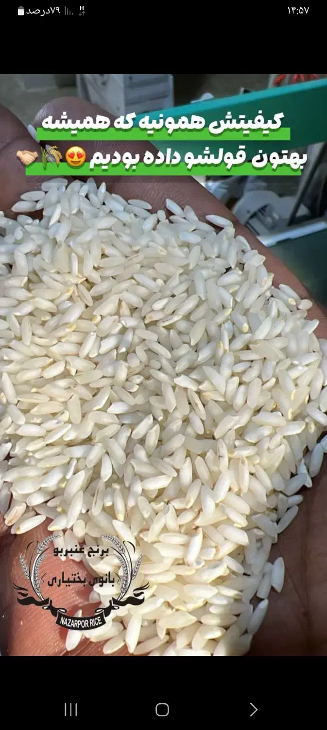 برنج عنبربو بانوی بختیاری امسال در بسته جدید|خوردنی و آشامیدنی|تبریز, |دیوار