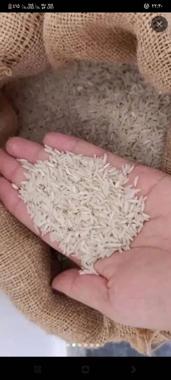 پخش برنج ایرانی|خوردنی و آشامیدنی|محمدشهر, محمدشهر|دیوار