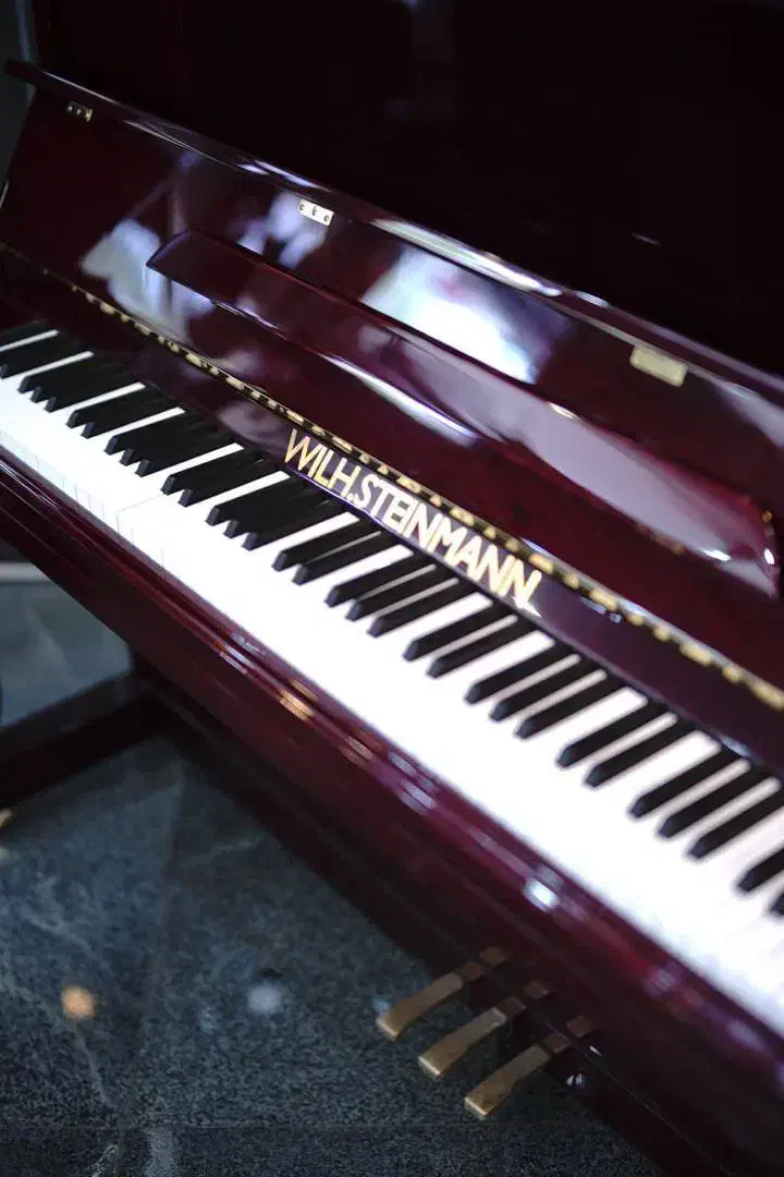 پیانو|پیانو، کیبورد، آکاردئون|شیراز, فلکه گاز|دیوار