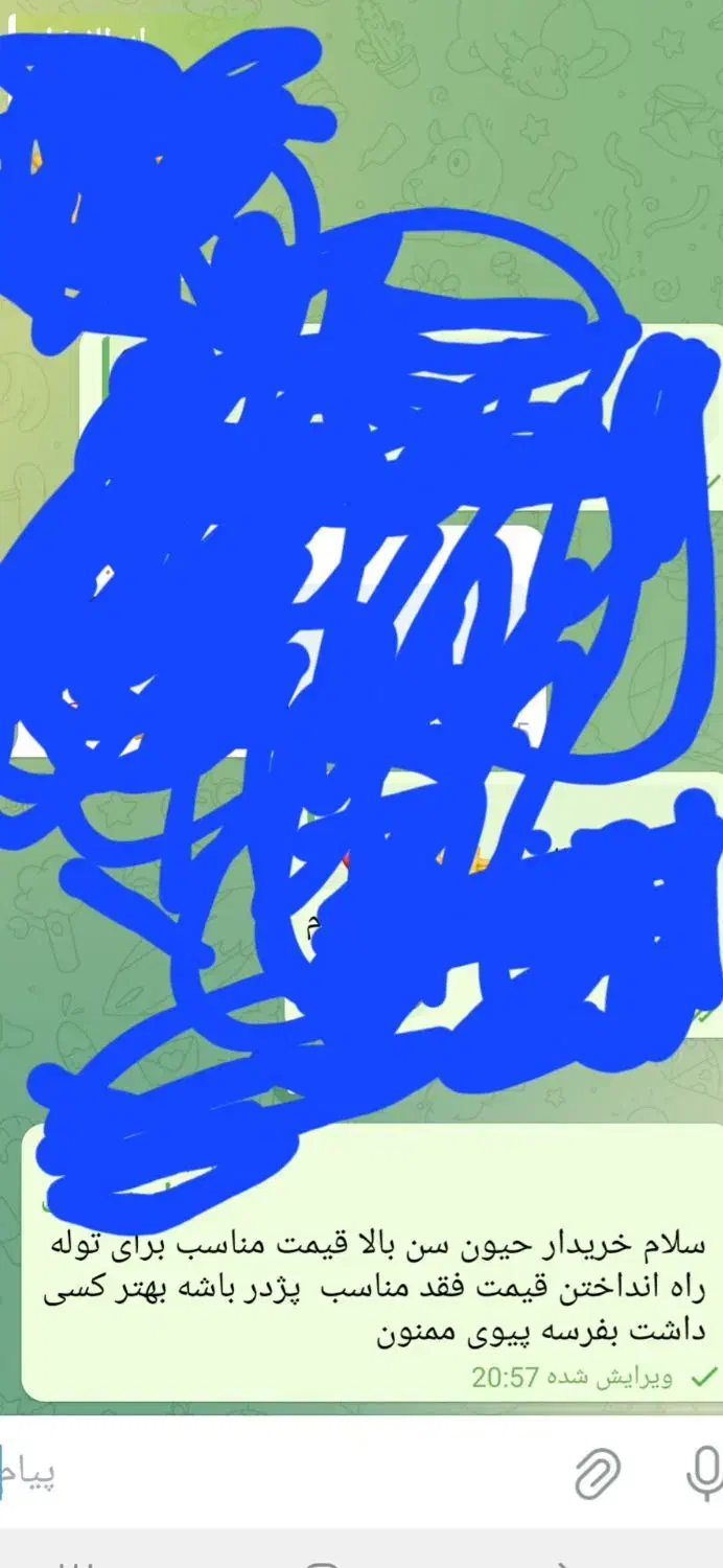 واگذاری سگ پژدر|سگ|اراک, |دیوار