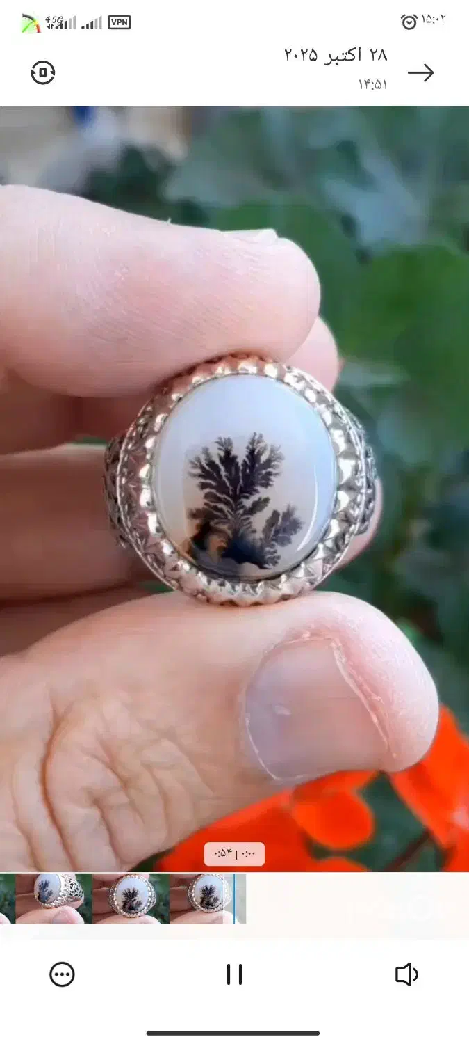 تک درخت شجر|جواهرات|اهر, |دیوار