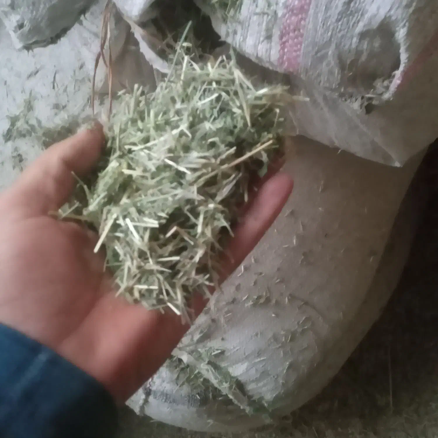 علف چین اول یونجه|لوازم جانبی حیوانات|لاران, |دیوار