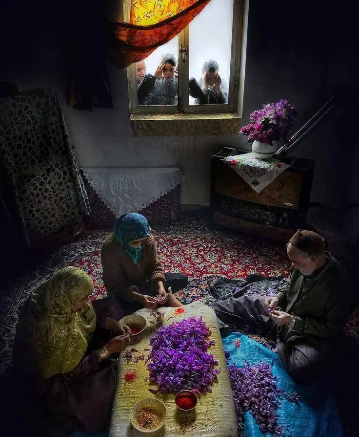 زعفران ناب قائنات، مستقیم از دل مزرعه تا دست شما|خوردنی و آشامیدنی|تهران, عباسی|دیوار