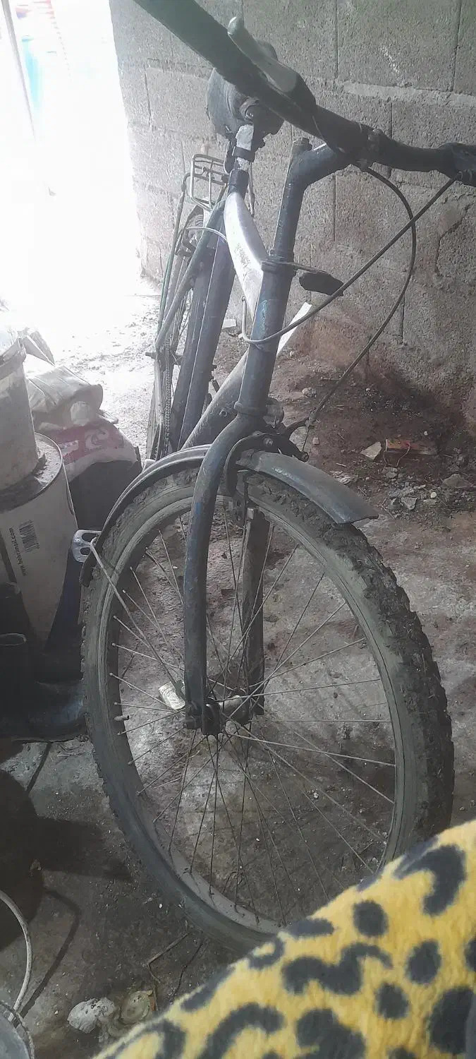 یک عدوچرخه۲۶سالم|دوچرخه، اسکیت، اسکوتر|سیاهکل, |دیوار