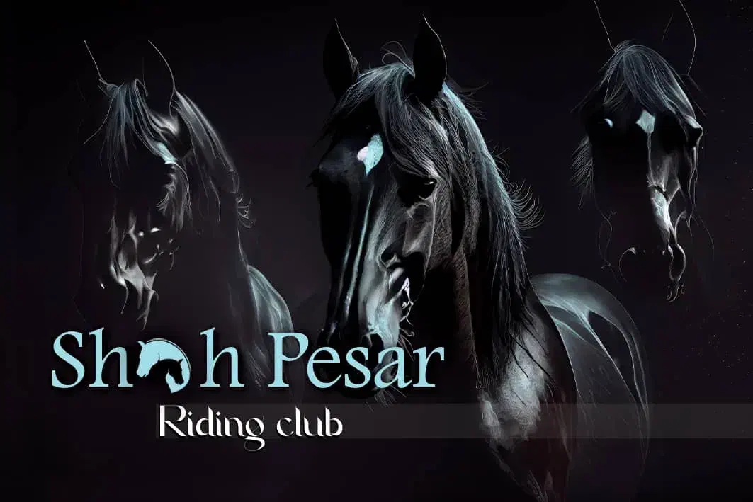 به یک نیرو جهت کار در باشگاه سوارکاری نیازمندیم|اسب و تجهیزات اسب‌سواری|قم, بوستان جوان|دیوار