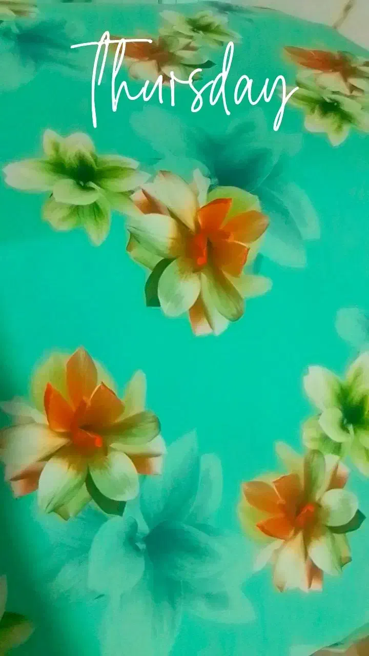 پارچه کرپ الیزا|لوازم خیاطی و بافتنی|سلماس, |دیوار