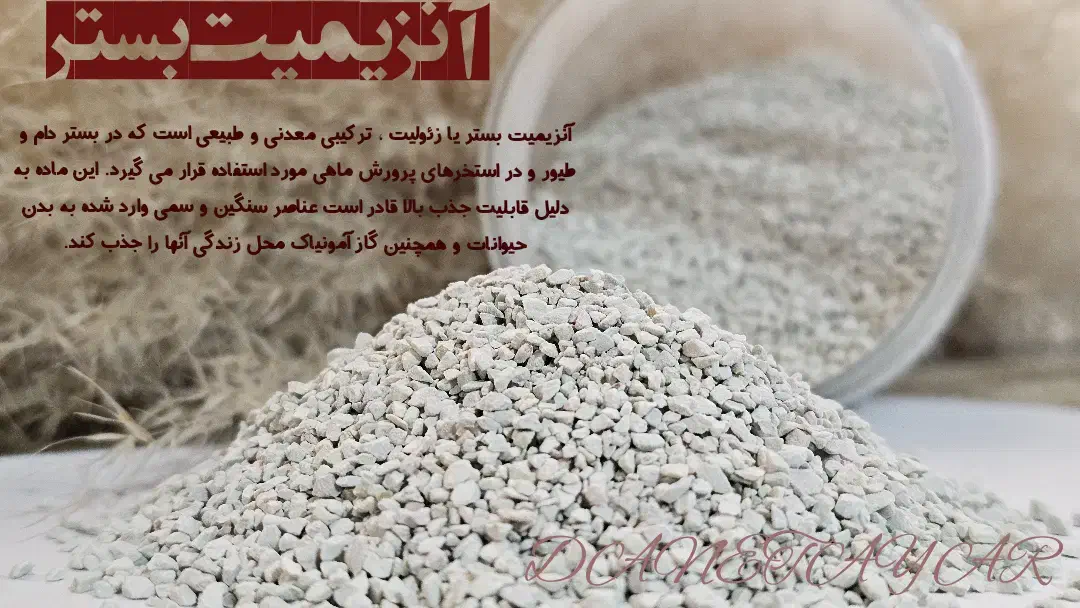 آنزیمیت بستر کبوتر مرغ و...|لوازم جانبی حیوانات|تهران, آسمان|دیوار