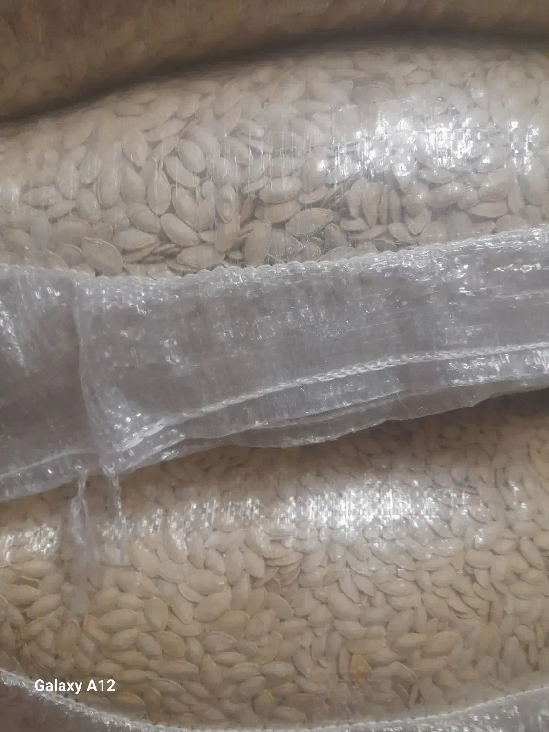 فروش کدو تخمی|عمده‌فروشی|آباده, |دیوار