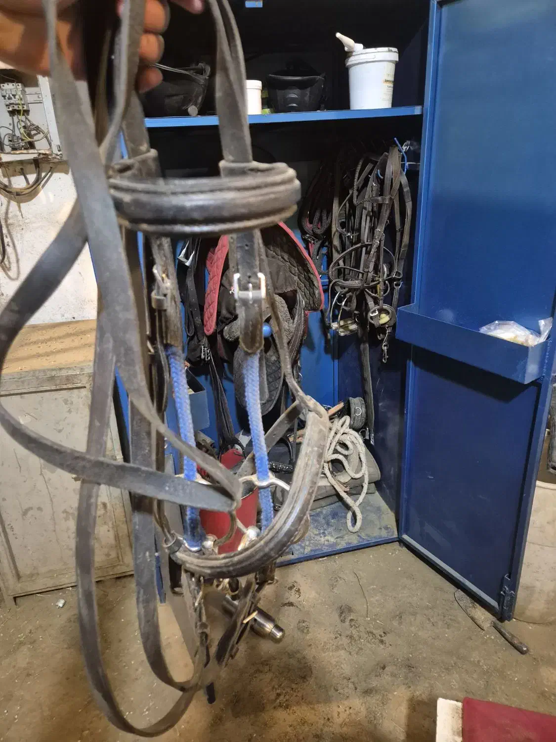 زین پرشی|اسب و تجهیزات اسب‌سواری|تهران, دروس|دیوار