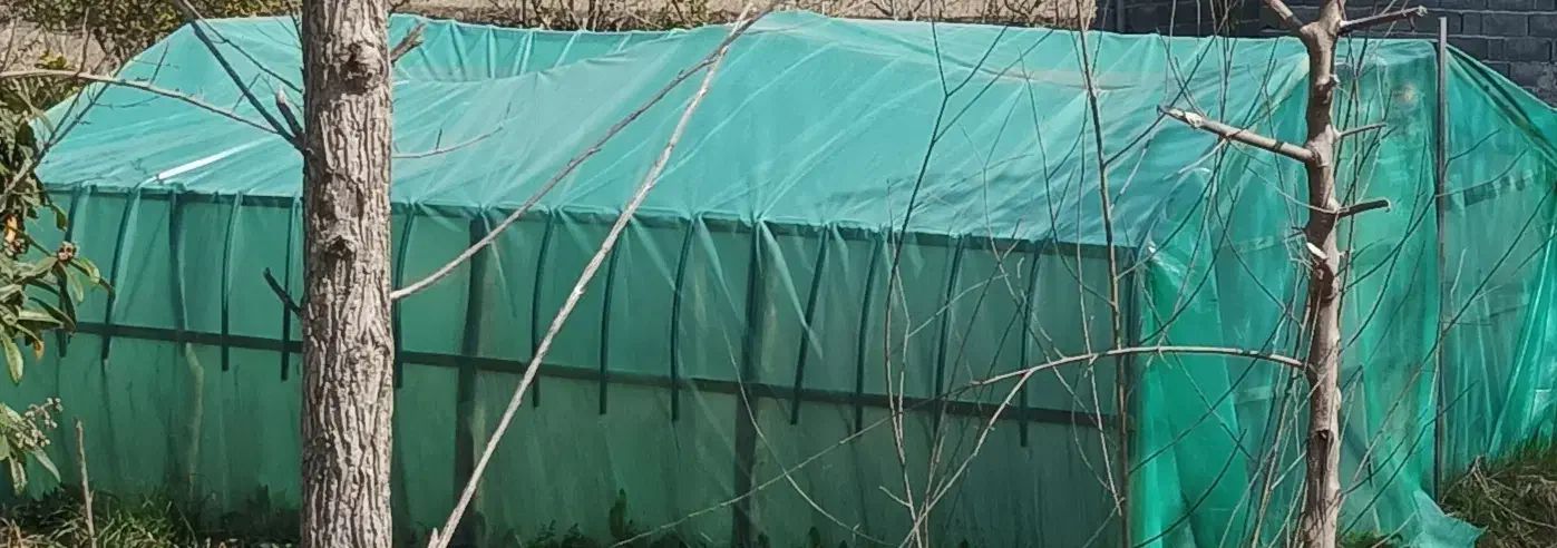 فروش پلاستیک گل خونه سالم   شیرگاه|عمدهفروشی|شیرگاه, |دیوار