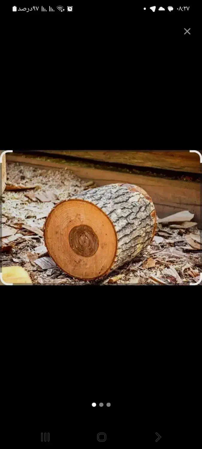 خرید انواع چوب ودرختان خشک وتر باقیمت نقد|خدمات باغبانی و درختکاری|آذرشهر, |دیوار