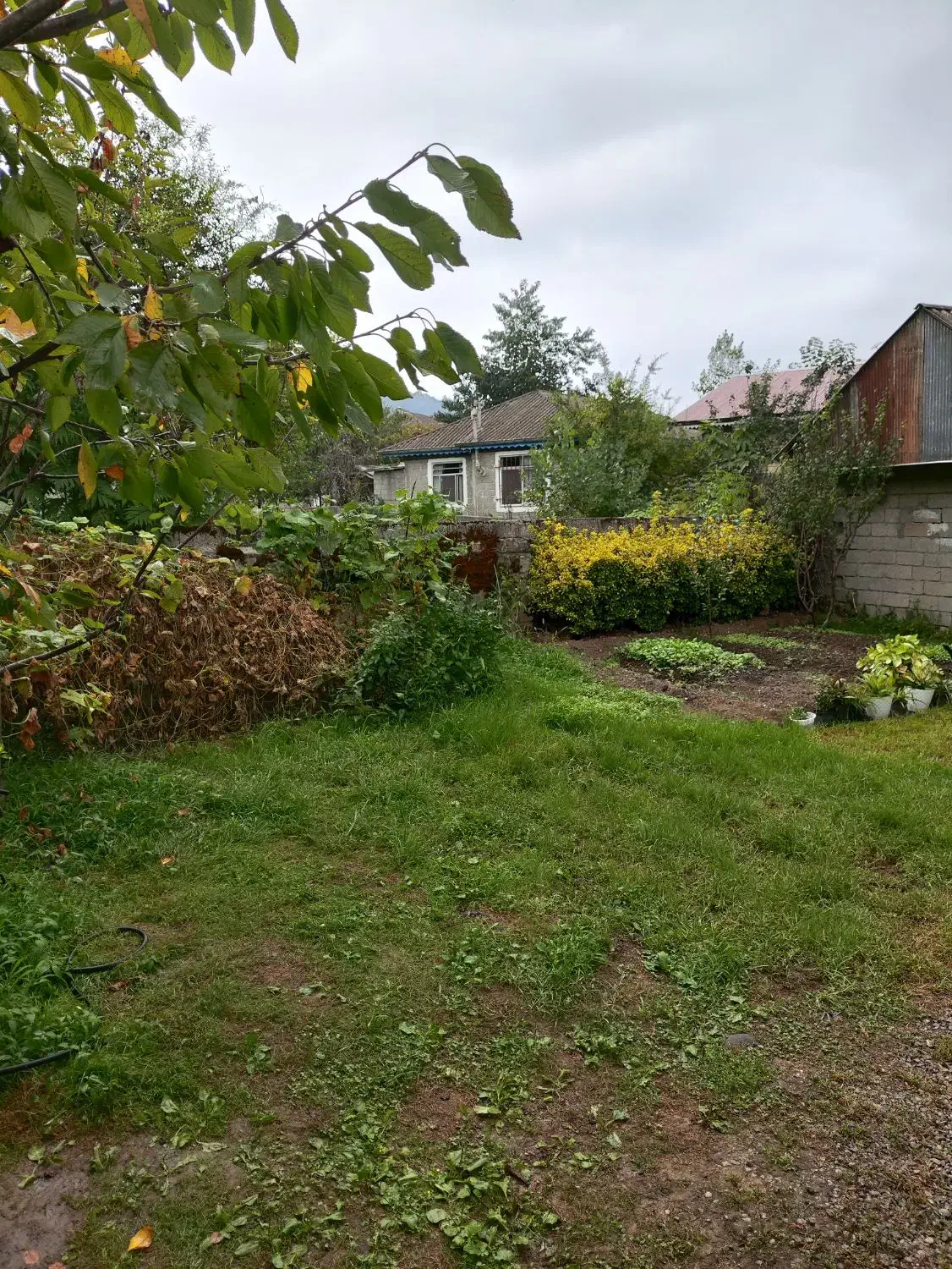 اجاره ماهیانه سوئیت|اجارهٔ خانه و ویلا|اسالم, |دیوار