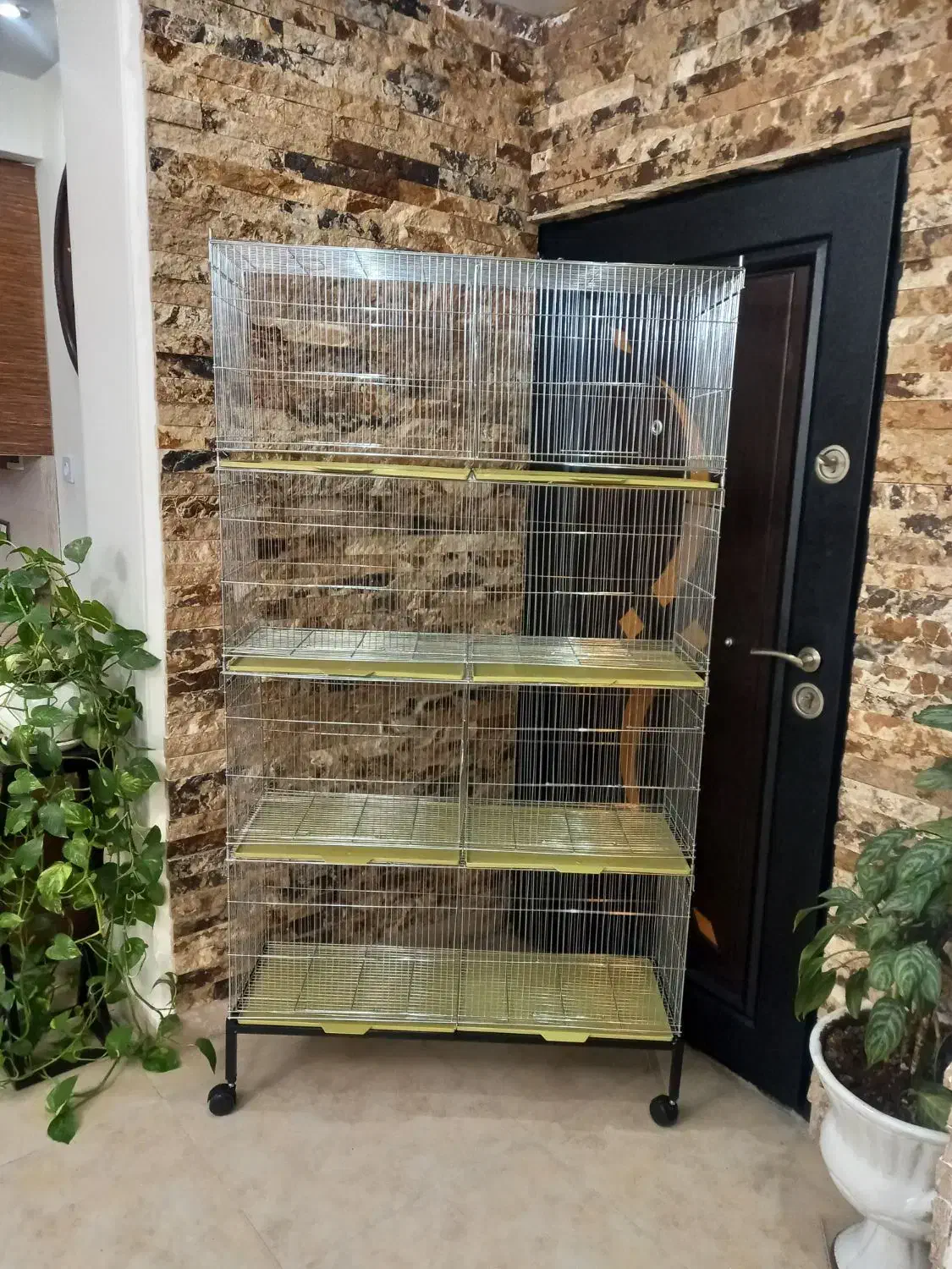 قفس جوجه پران پرون قناری عروس هلندی فنچ مرغ عشق|لوازم جانبی حیوانات|تهران, جوادیه|دیوار