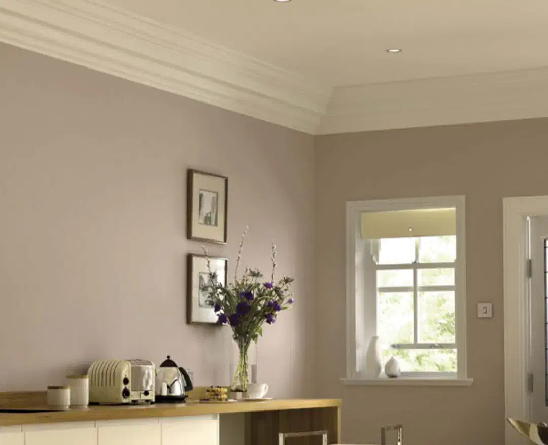 نقاشی ساختمان|خدمات پیشه و مهارت|شهریار, شهریار|دیوار