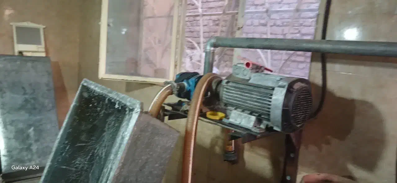 نبات|فروشگاه و مغازه|بردسکن, |دیوار