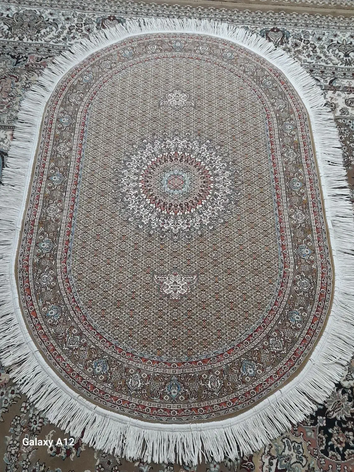 پادری ۷۰۰ شانه|پادری|دورود, |دیوار