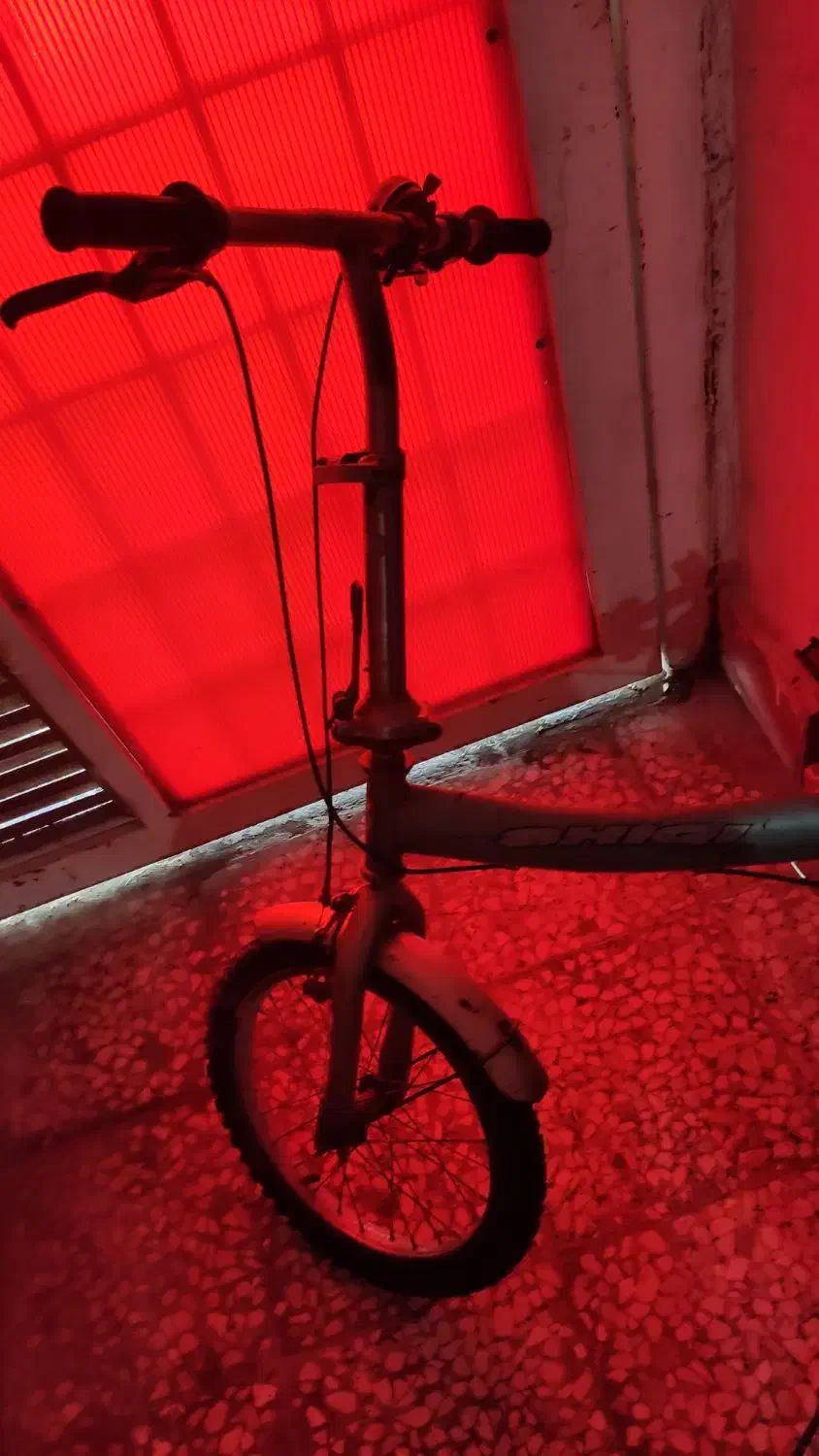 دوچرخه تاشو سایز ۱۶|دوچرخه، اسکیت، اسکوتر|بوشهر, |دیوار