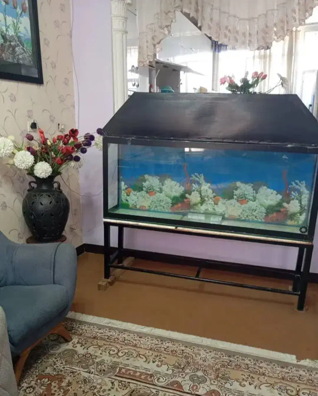 آکواریوم|ماهی|دوگنبدان, |دیوار