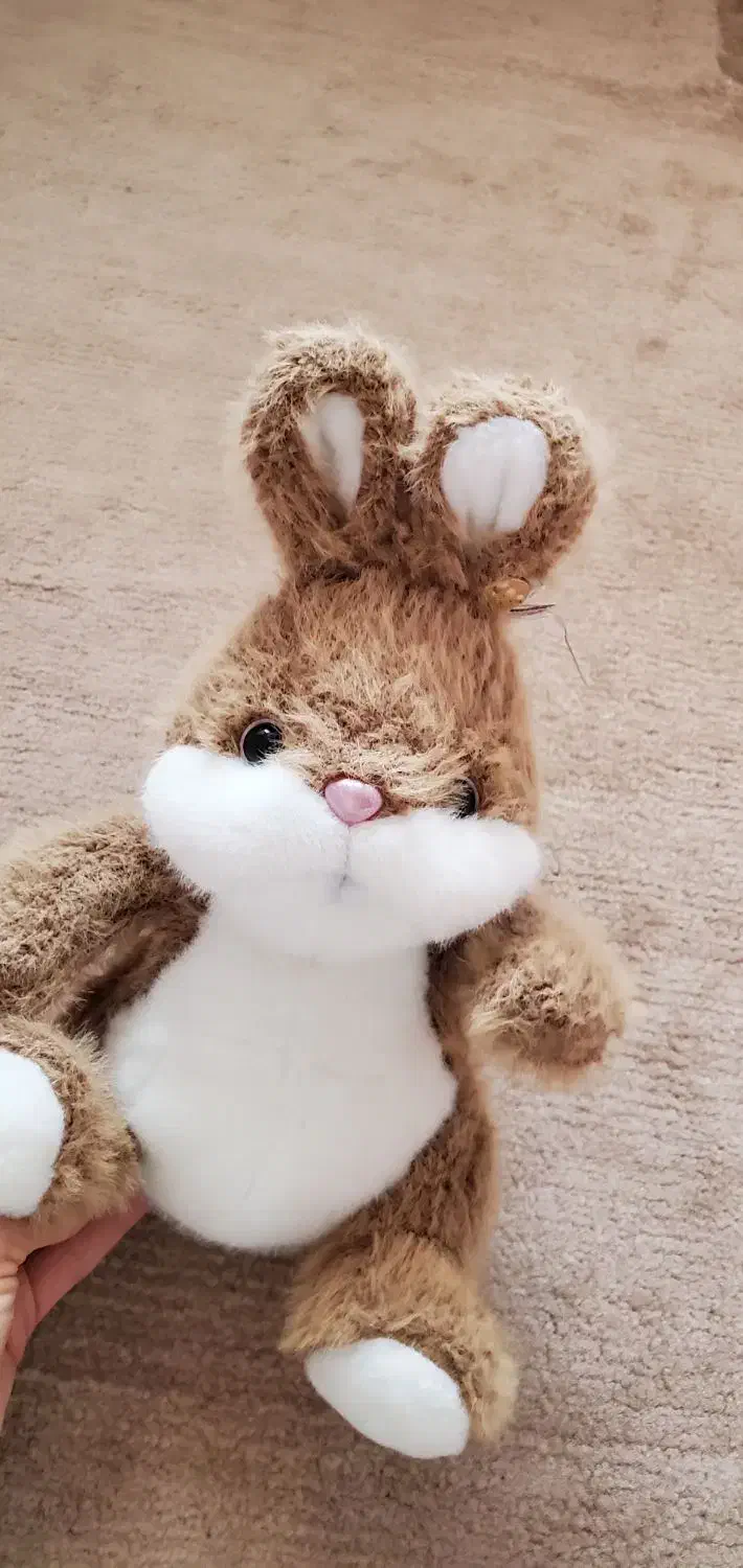 عروسک پولیشی|اسباب‌بازی بچه|سنگر, |دیوار