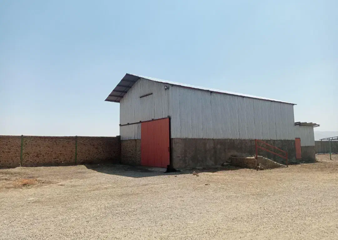 گاوداری صنعتی و زمین کشاورزی|فروش دفتر صنعتی، کشاورزی، تجاری|شیروان (لرستان), |دیوار