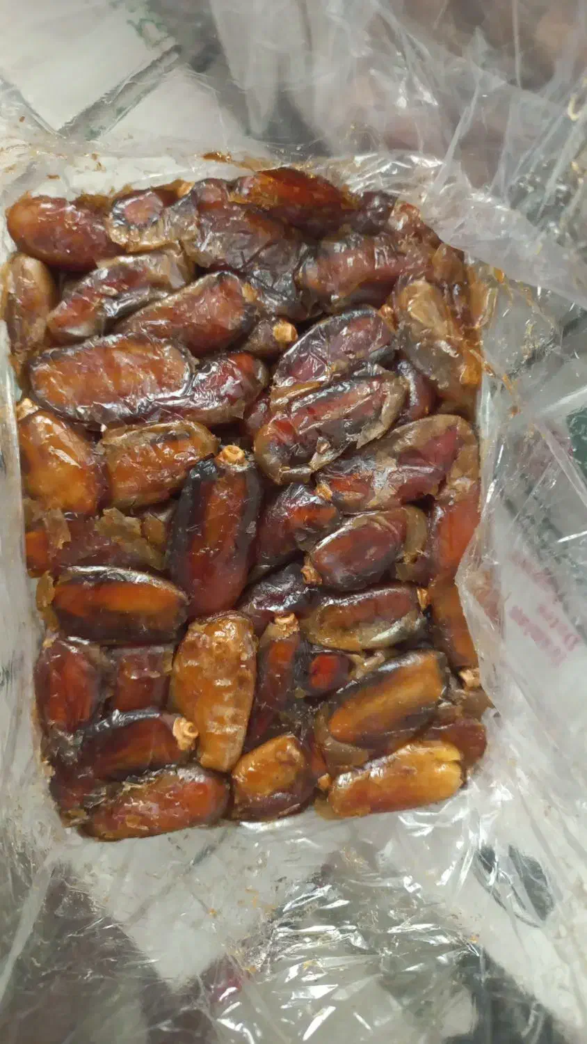 خرمای شاهانی جهرم|خوردنی و آشامیدنی|فولادشهر, B2|دیوار